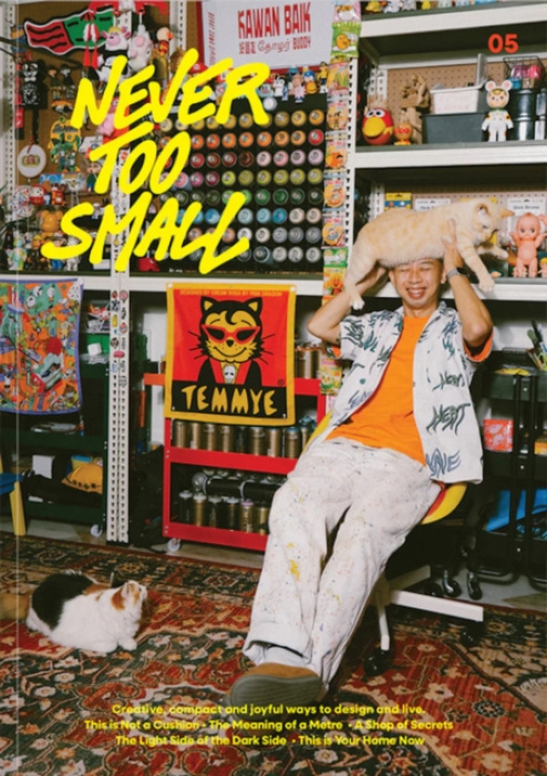 Never Too Small, #5: A Dazzling Journey Through Colour, Culture and Compact Living Never Too Small