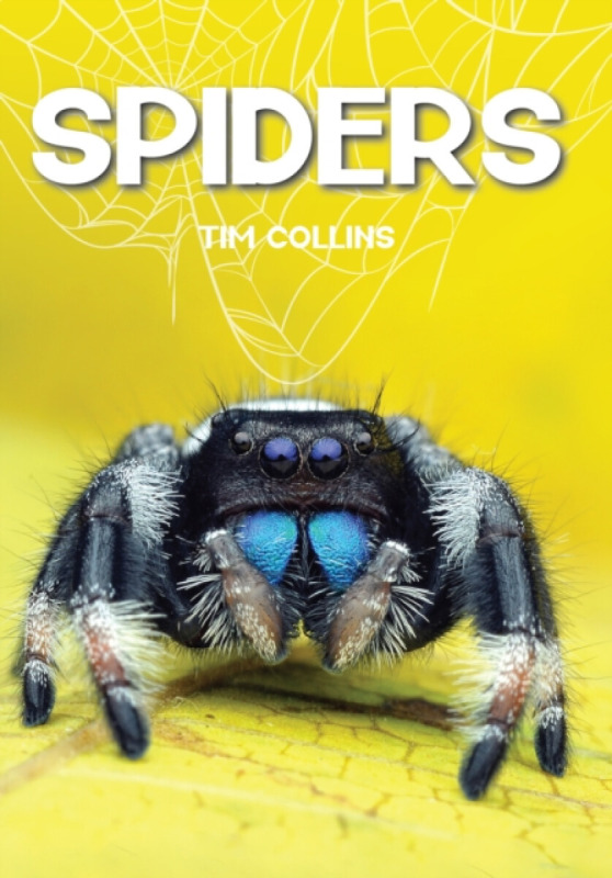 Spiders - Tim Collins
