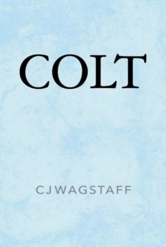 The Hmm Foundation Colt - Wagstaff, CJ