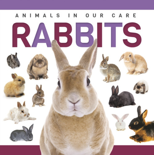 North Star Editions Rabbits - Hall, Alex