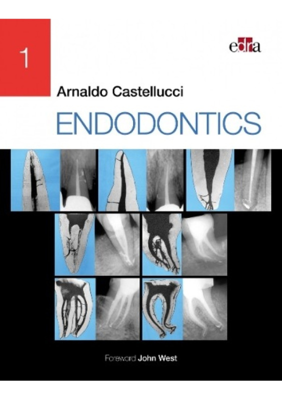 ENDODONTICS - 2 Volume Set Edra Publishing US LLC