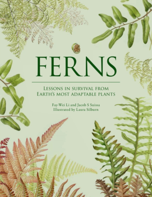 Hardie Grant US Ferns - Li, Fay-Wei a Suissa, Jacob S.