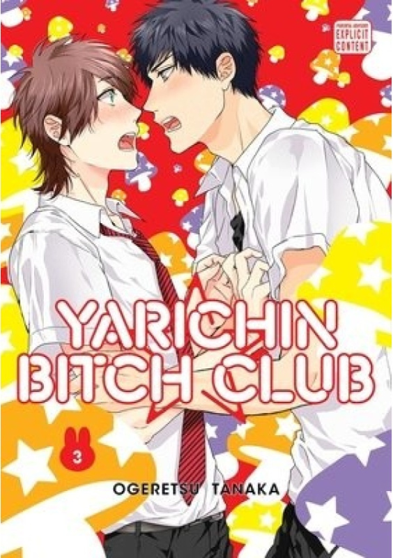 Yarichin Bitch Club 3 - Ogeretsu Tanaka - kniha z kategorie Komiksy