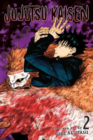 Jujutsu Kaisen, Vol. 2 Viz Media, Subs. of Shogakukan Inc
