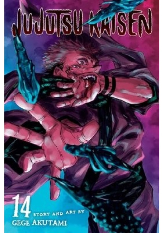 Jujutsu Kaisen, Vol. 14 Viz Media, Subs. of Shogakukan Inc