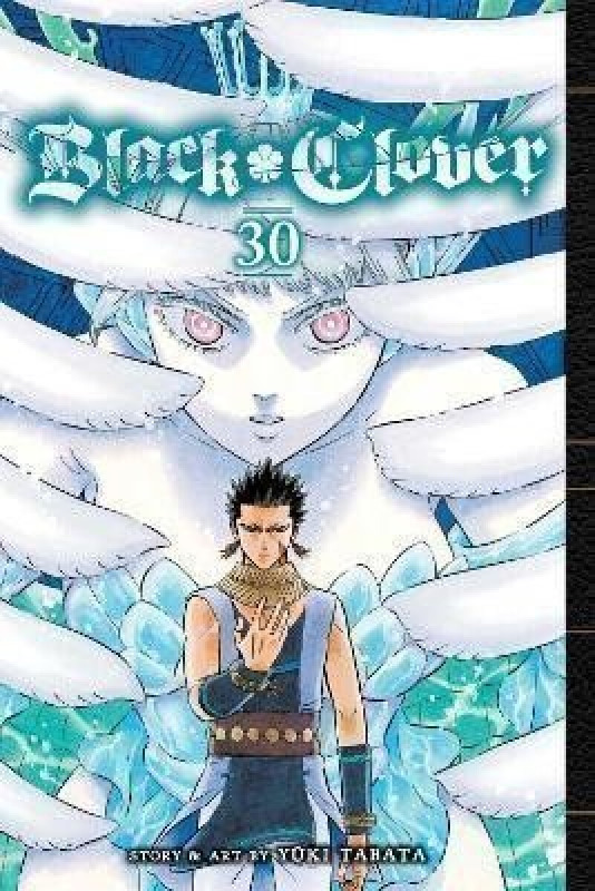 Black Clover 30 - Yuki Tabata - kniha z kategorie Komiksy