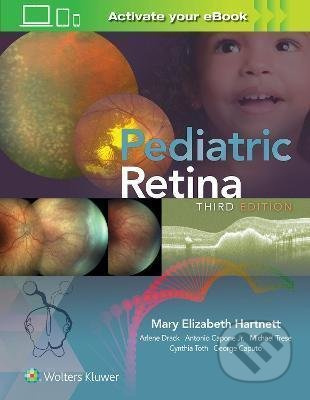 Pediatric Retina - Mary Elizabeth Hartnett - kniha z kategorie Oftalmologie a otolaryngologie