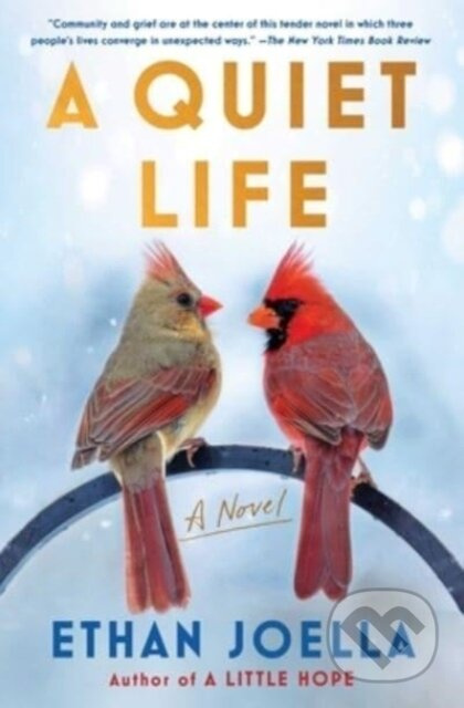 A Quiet Life (A Novel) - Ethan Joella - kniha z kategorie Společenská beletrie