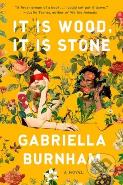 It Is Wood, It Is Stone (A Novel) - Gabriella Burnham - kniha z kategorie Společenská beletrie