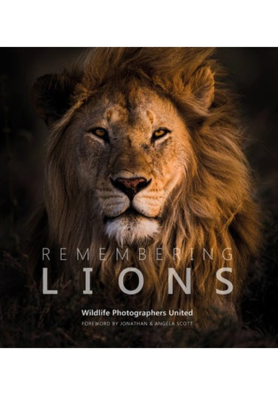 Remembering Lions Remembering Wildlife