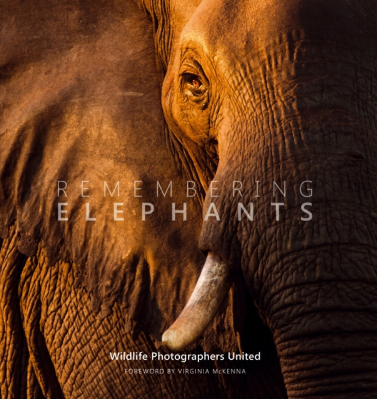 Remembering Elephants Remembering Wildlife