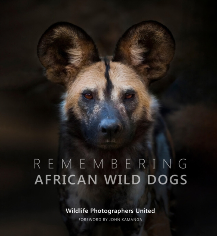 Remembering African Wild Dogs Remembering Wildlife
