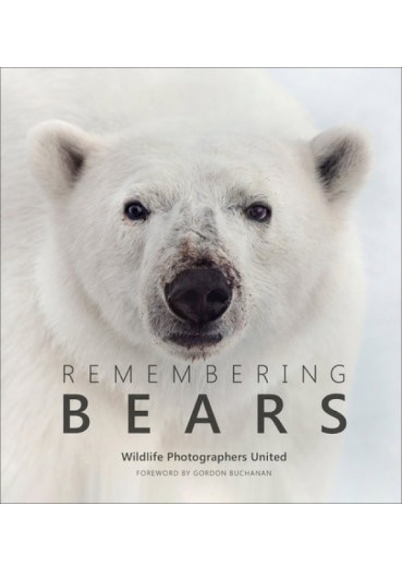 Remembering Bears Remembering Wildlife