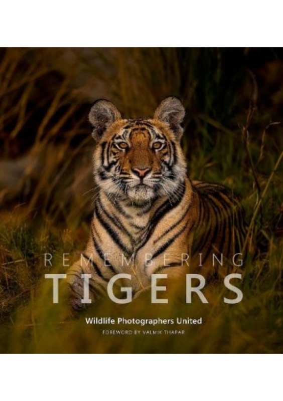 Remembering Tigers Remembering Wildlife