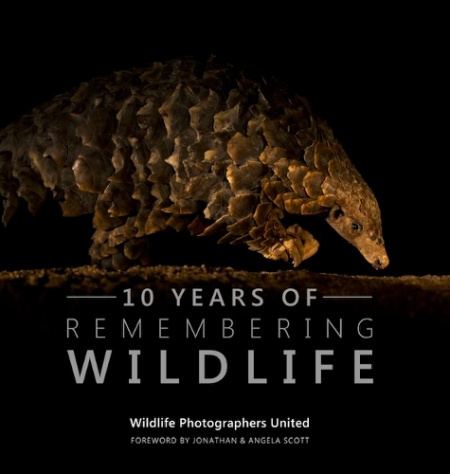 Ten Years of Remembering Wildlife Remembering Wildlife