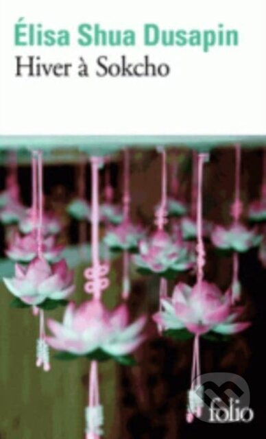 Hiver a Sokcho - Elisa Shua Dusapin - kniha z kategorie Společenská beletrie