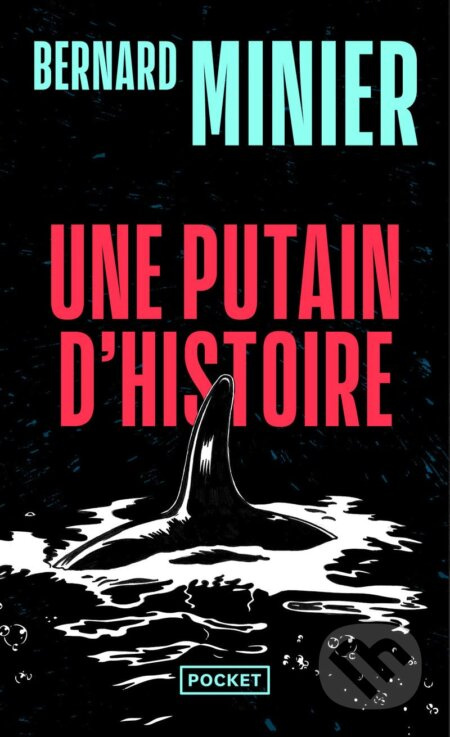 Une putain d'histoire - Bernard Minier - kniha z kategorie Detektivky, thrillery a horory