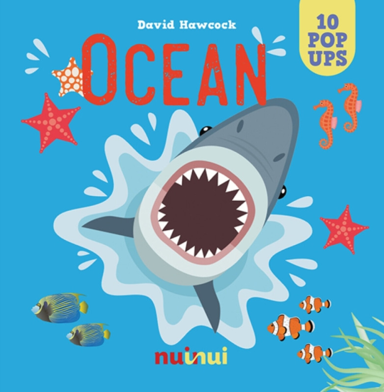 Ocean - David Hawcock