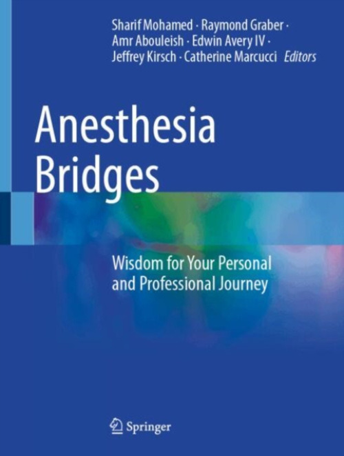 Springer Nature Switzerland AG Anesthesia Bridges