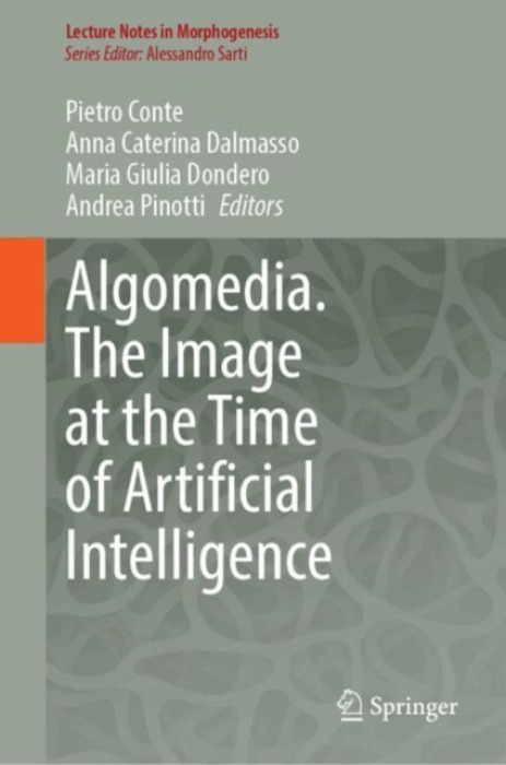 Springer Nature Switzerland AG Algomedia. The Image at the Time of Artificial Intelligence