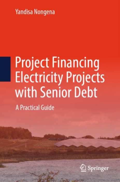 Springer Nature Switzerland AG Project Financing Electricity Projects with Senior Debt - Nongena, Yandisa