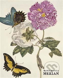 Maria Sibylla Merian - Daniel Kiecol