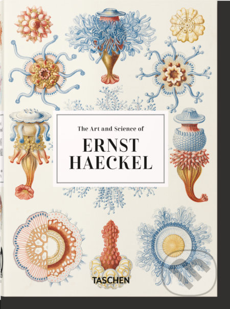 Ernst Haeckel - Rainer Willmann, Julia Voss - kniha z kategorie Přírodní vědy a technika