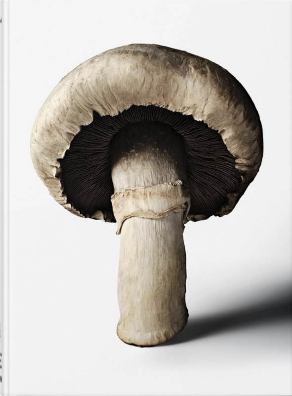 The Gourmands Mushroom. A Collection of Stories & Recipes