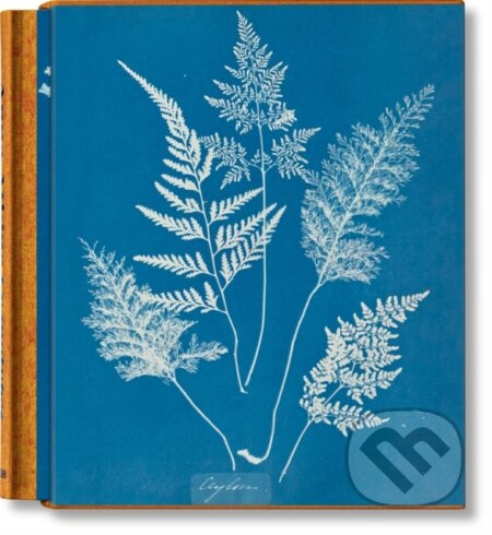 Anna Atkins. Cyanotypes - Peter Walther - kniha z kategorie Fotografie