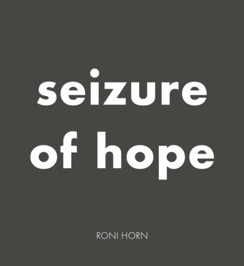 Hauser & Wirth Roni Horn: Seizure of Hope - Horn, Roni