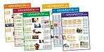 Grammatik-Plakate 6 Plakate mit Kopiervorlagen Hueber Verlag