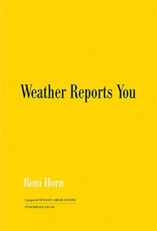 Weather Reports You - Roni Horn