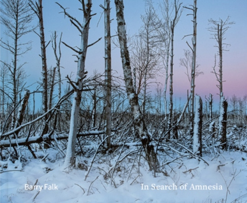 Kehrer Verlag In Search of Amnesia - Falk, Barry