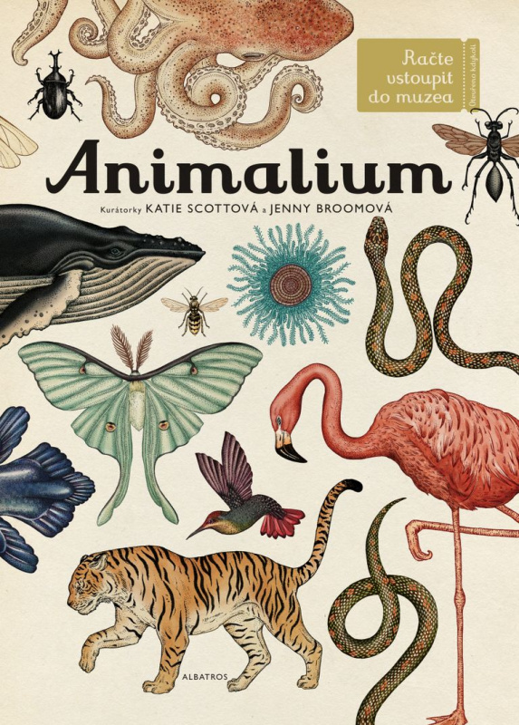 Animalium - Jenny Broomová