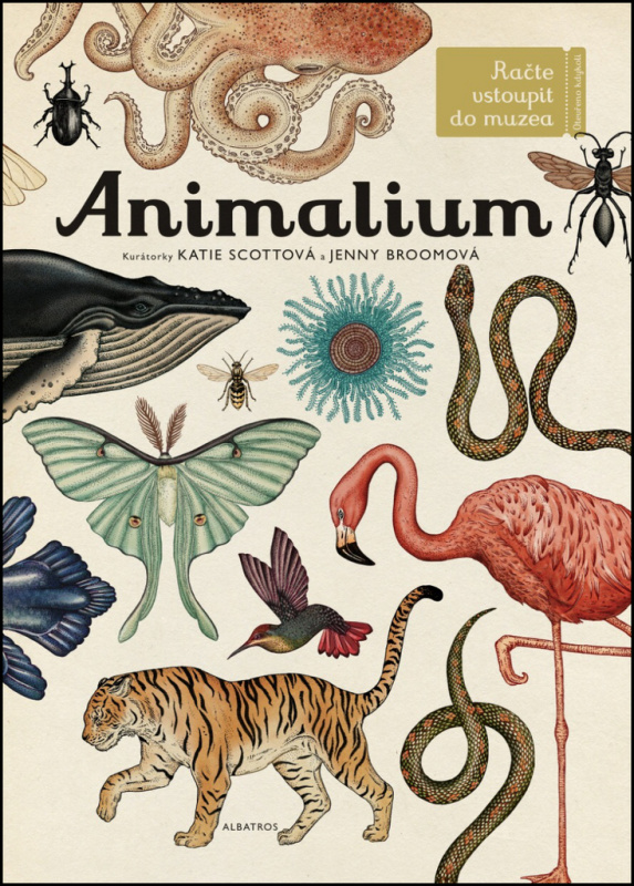 Animalium - Jenny Broomová