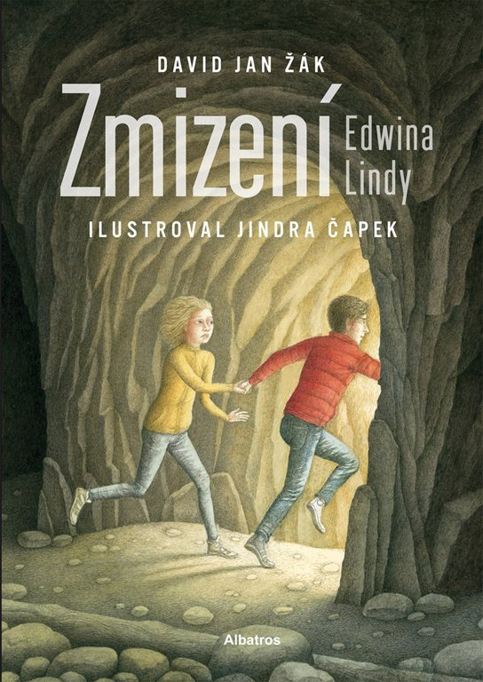 Zmizení Edwina Lindy -  David Jan Žák