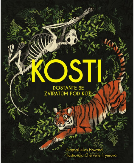 Kosti ALBATROS