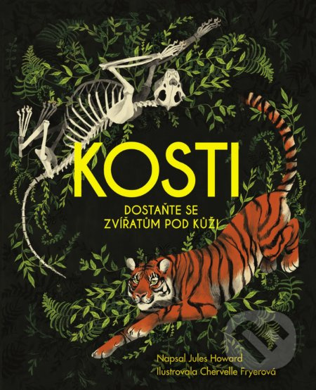 Kosti ALBATROS