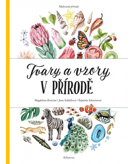 Malovaná příroda. Tvary a vzory v přírodě ALBATROS