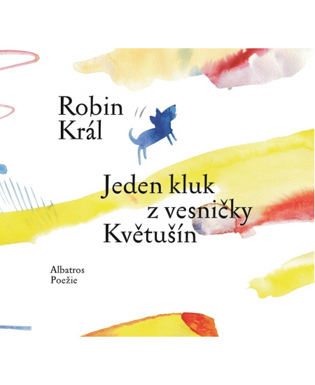 Jeden kluk z vesničky Květušín - Robin Král