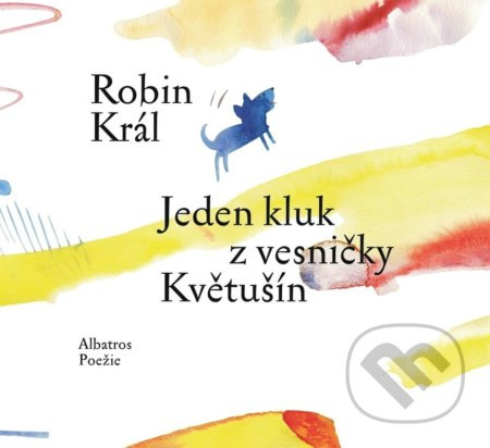 Jeden kluk z vesničky Květušín - Robin Král