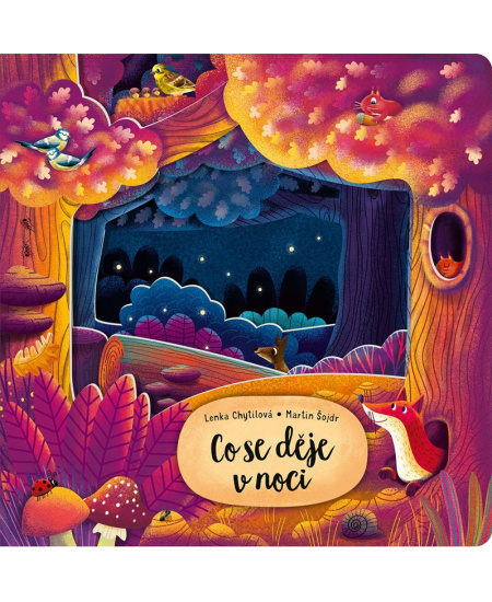 Knížka Co se děje v noci CZ text 23x23cm