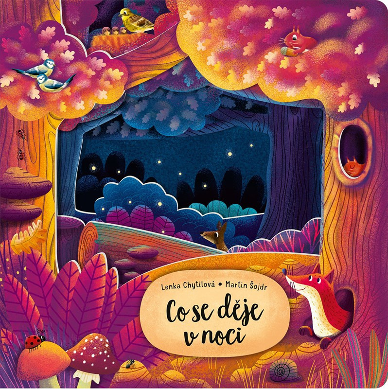 Knížka Co se děje v noci CZ text 23x23cm