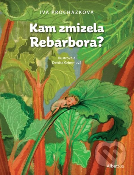 Kam zmizela Rebarbora? - Iva Procházková