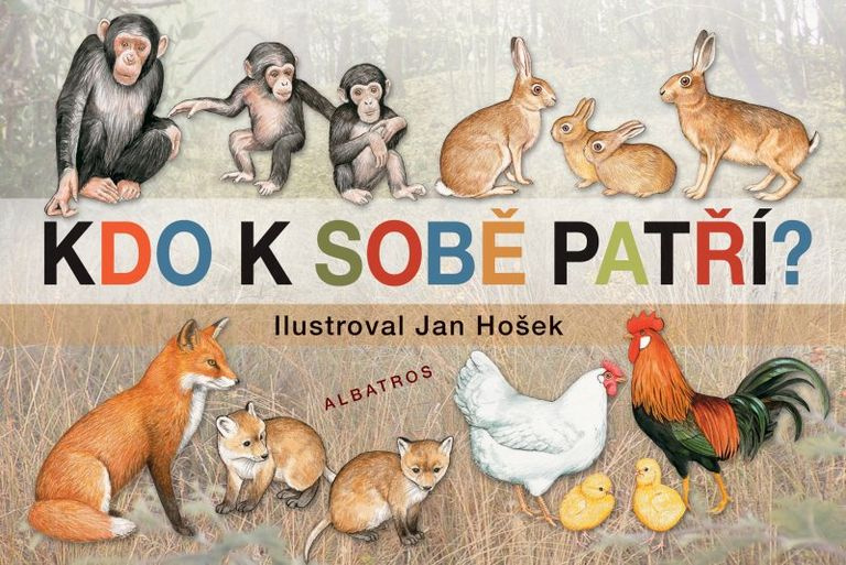 Kdo k sobě patří - Jana Mikulecká