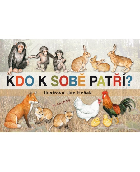 Kdo k sobě patří - Jana Mikulecká
