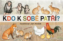 Kdo k sobě patří - Jana Mikulecká