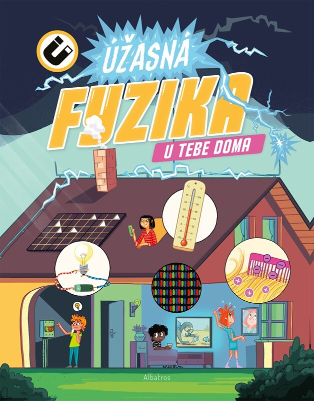 Úžasná fyzika u vás doma - kolektiv autorů