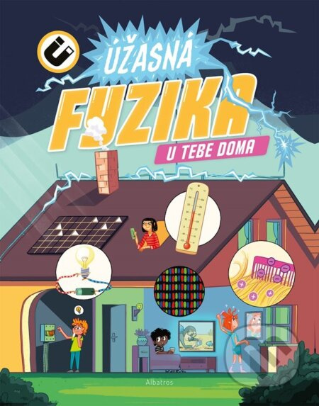 Úžasná fyzika u vás doma - kolektiv autorů