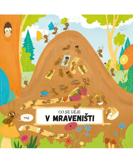 Co se děje v mraveništi - Petra Bartíková
